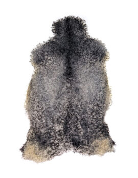 Gotländskt Fårskinn