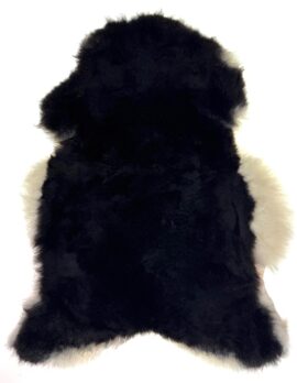 Ett eko-garvat svart korthårigt fårskinn från isländskt får.